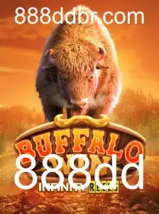Explorando o Mundo de BuffaloWin: Uma Aventura de Jogo Empolgante